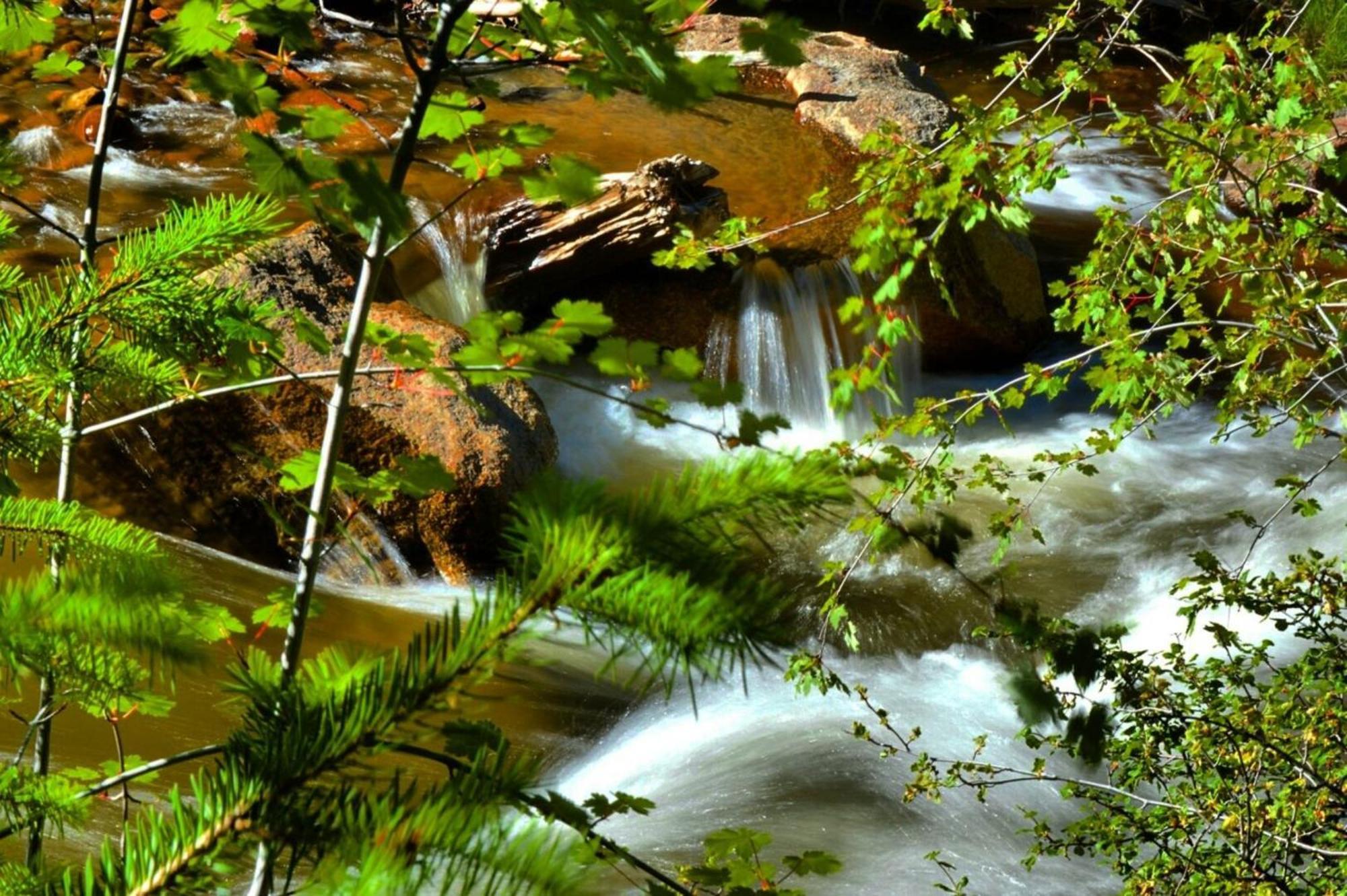 Stonebrook Resort - Adult Only Estes Park Buitenkant foto